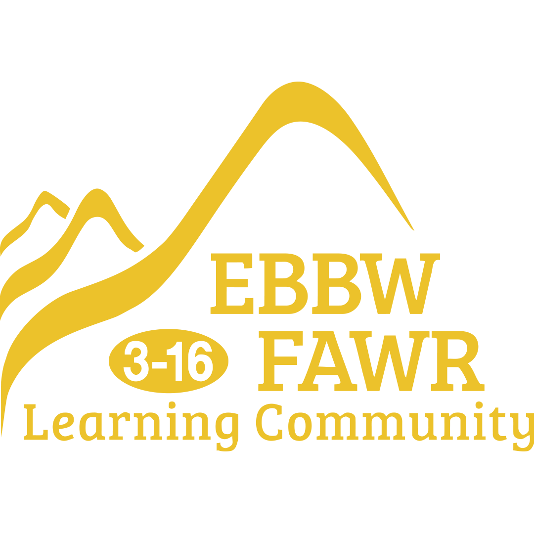 Ebbw Fawr Learning Community