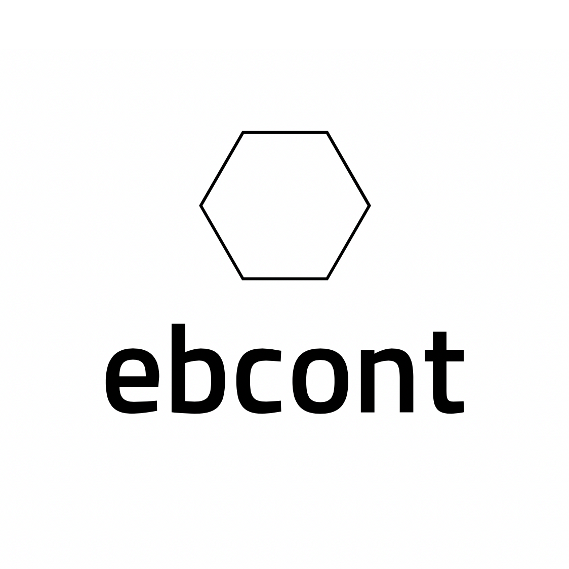 Ebcont electronic business consulting team