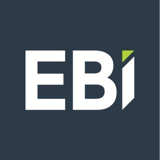 EBI Consulting