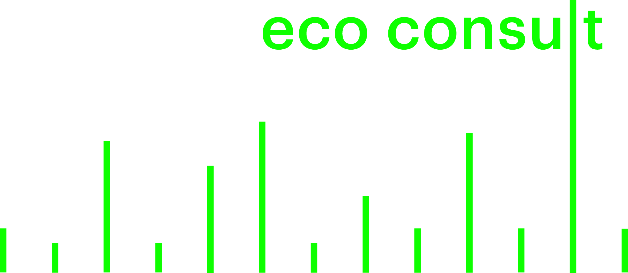 Eco Consult