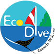 Eco Dive