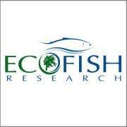 Ecofish Research