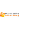 Ecommerce consultants