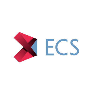 ECS - Empowered Company Strategy