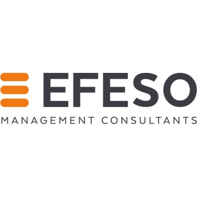 EFESO Consulting