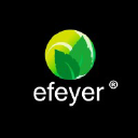 Efeyer