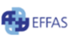 European Federation of Financial Analysts Societies