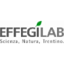 Effegilab Srl