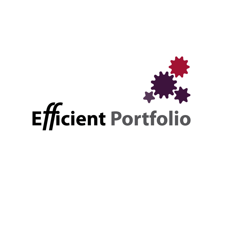 Efficient Portfolio