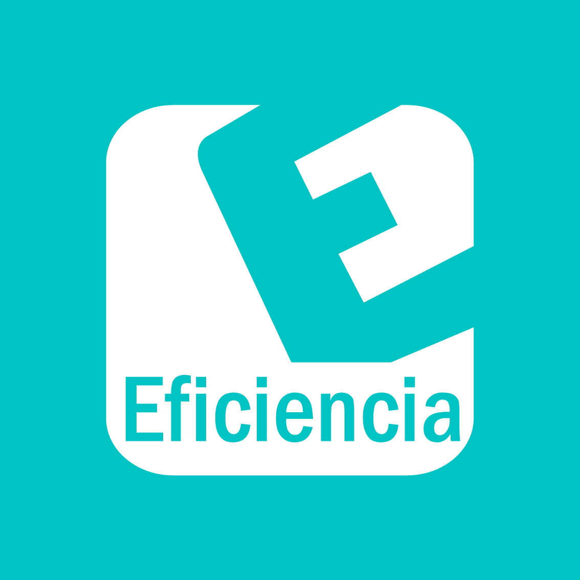 EFICIENCIA EMPRESARIA