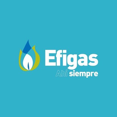 EFIGAS