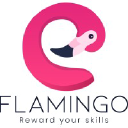 Eflamingo   Reward Your Skills