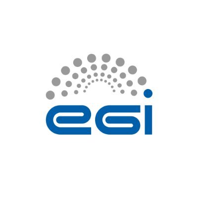 The EGI Foundation