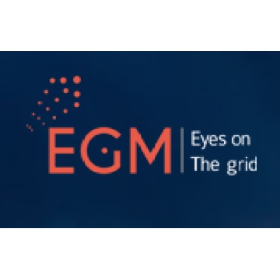 Electrical Grid Monitoring