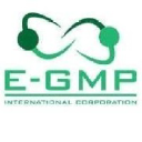 E-GMP International