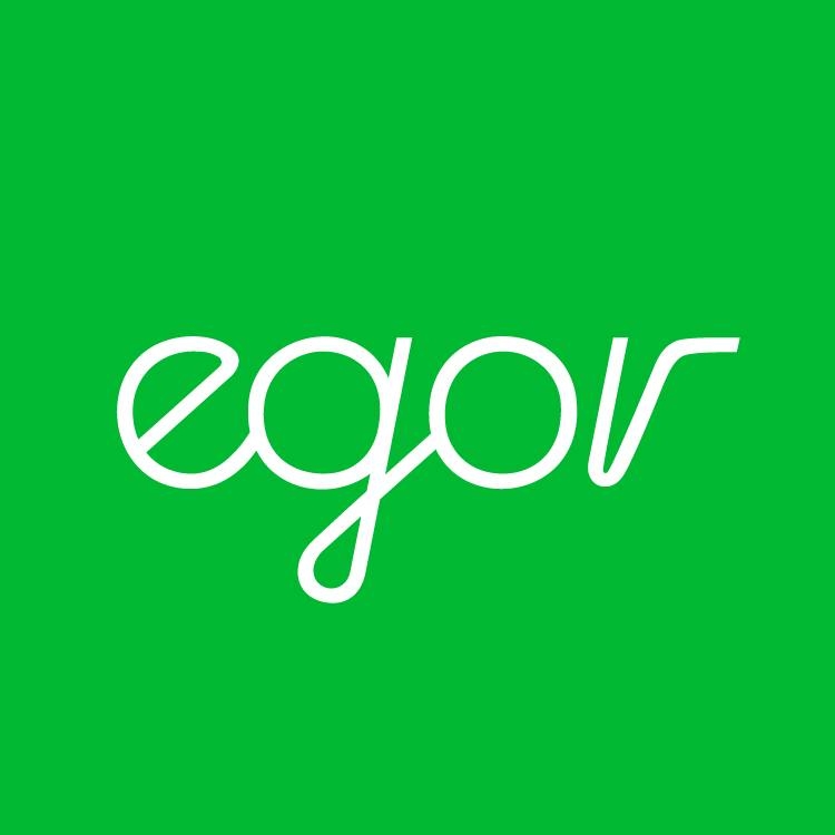 The EGOR Group companies