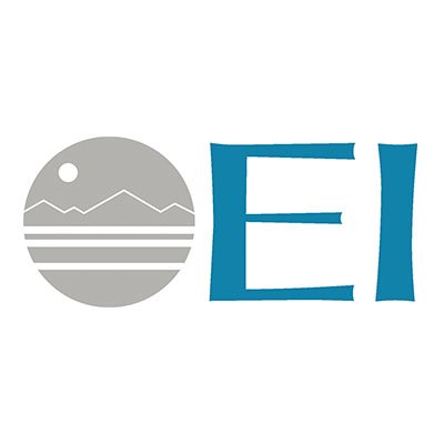 The EI Group