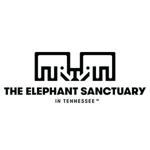 The Elephant Sanctuary