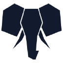 Elephants 5