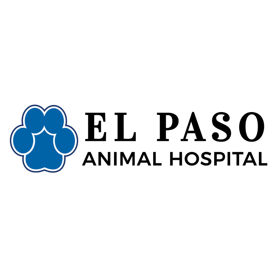 El Paso Animal Hospital