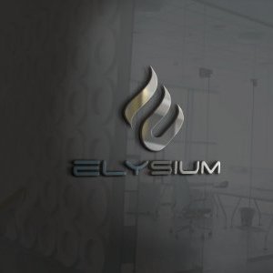 Elysium Solutions Oy