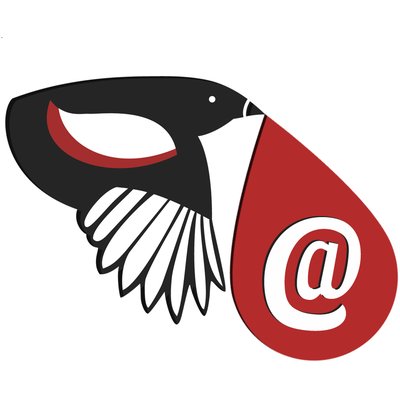 EmailMagpie