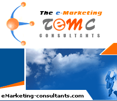 The eMarketing Consultants