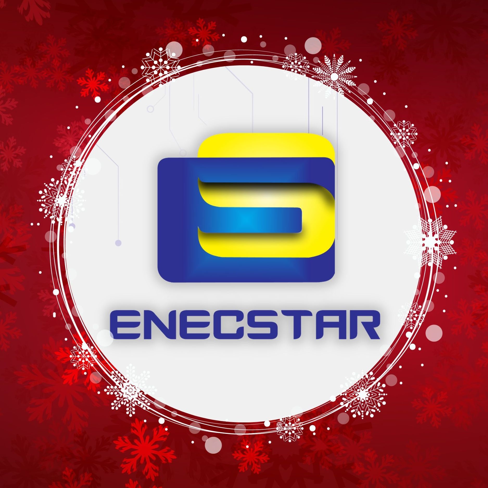 Enecstar S. De R.L.