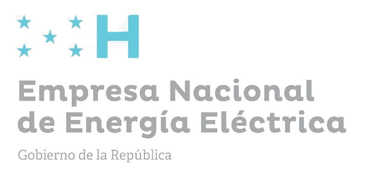 Empresa Nacional de Energia Electrica