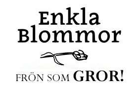 Odla | Ekologiska Fröer | Odla I Kruka | Ekologisk| Odla Inomhus | Www.Enklablommor.Se Små Konstverk