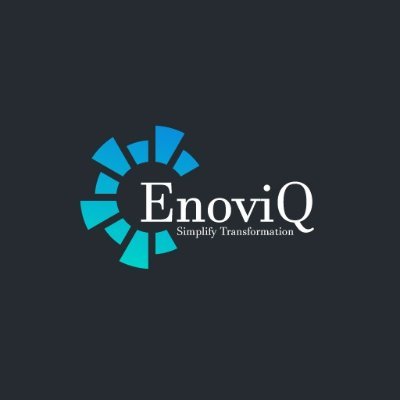 EnoviQ Technology Services