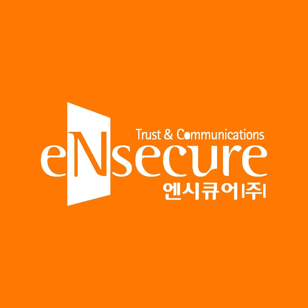 eNsecure