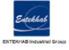 ENTEKHAB industrial Group