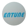 ENTUNE IT Consulting Pvt