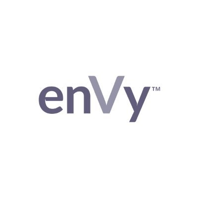 enVy Pillow