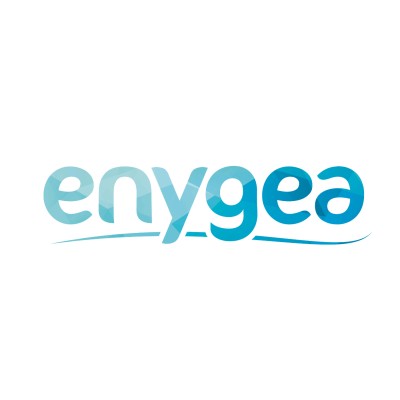 Enygea