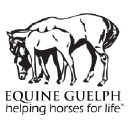 Equine Guelph