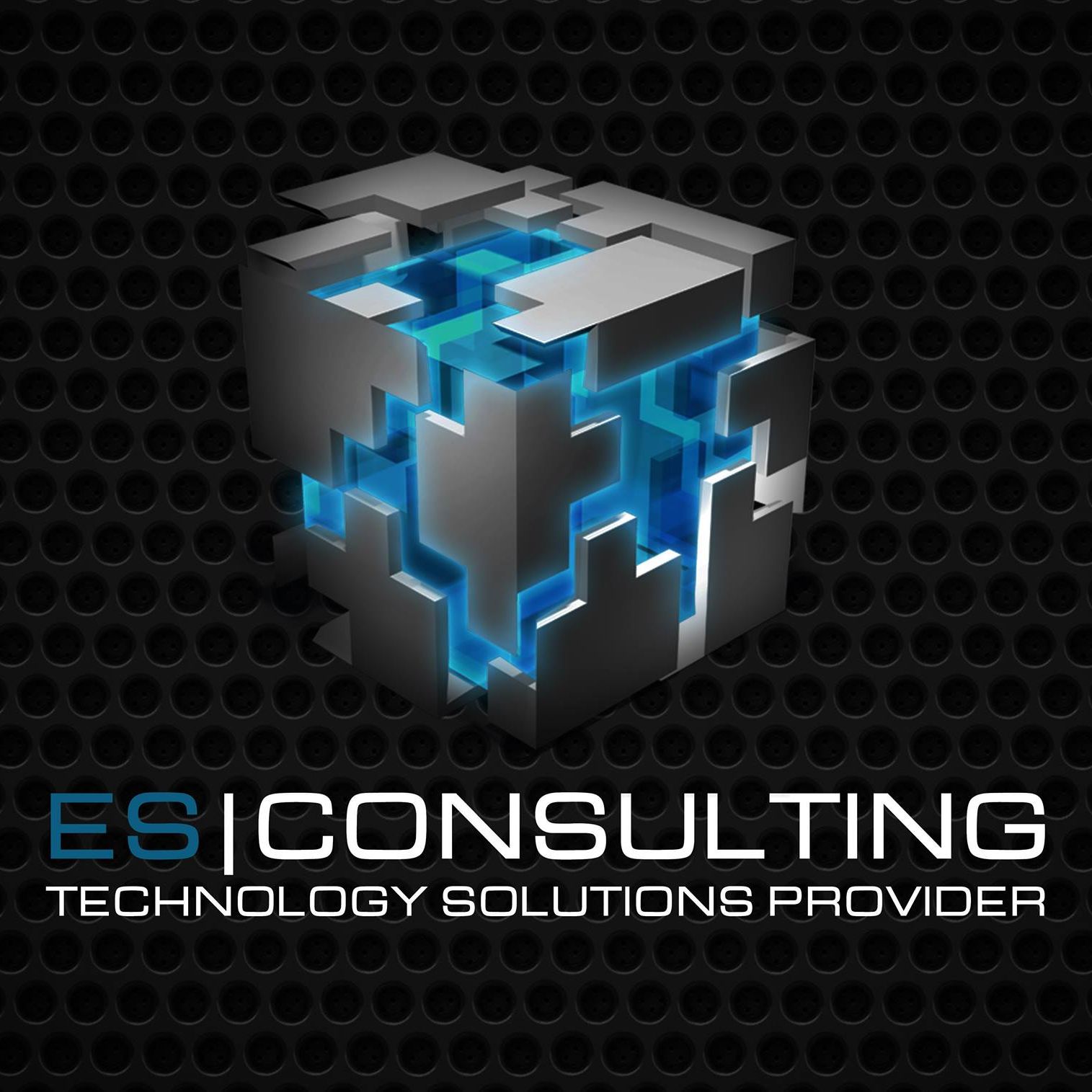 ES Consulting