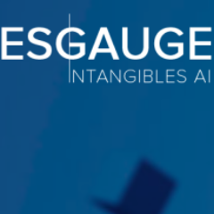 Esgauge