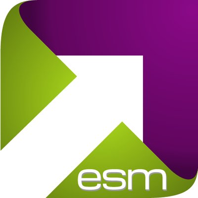 ESM Software Group