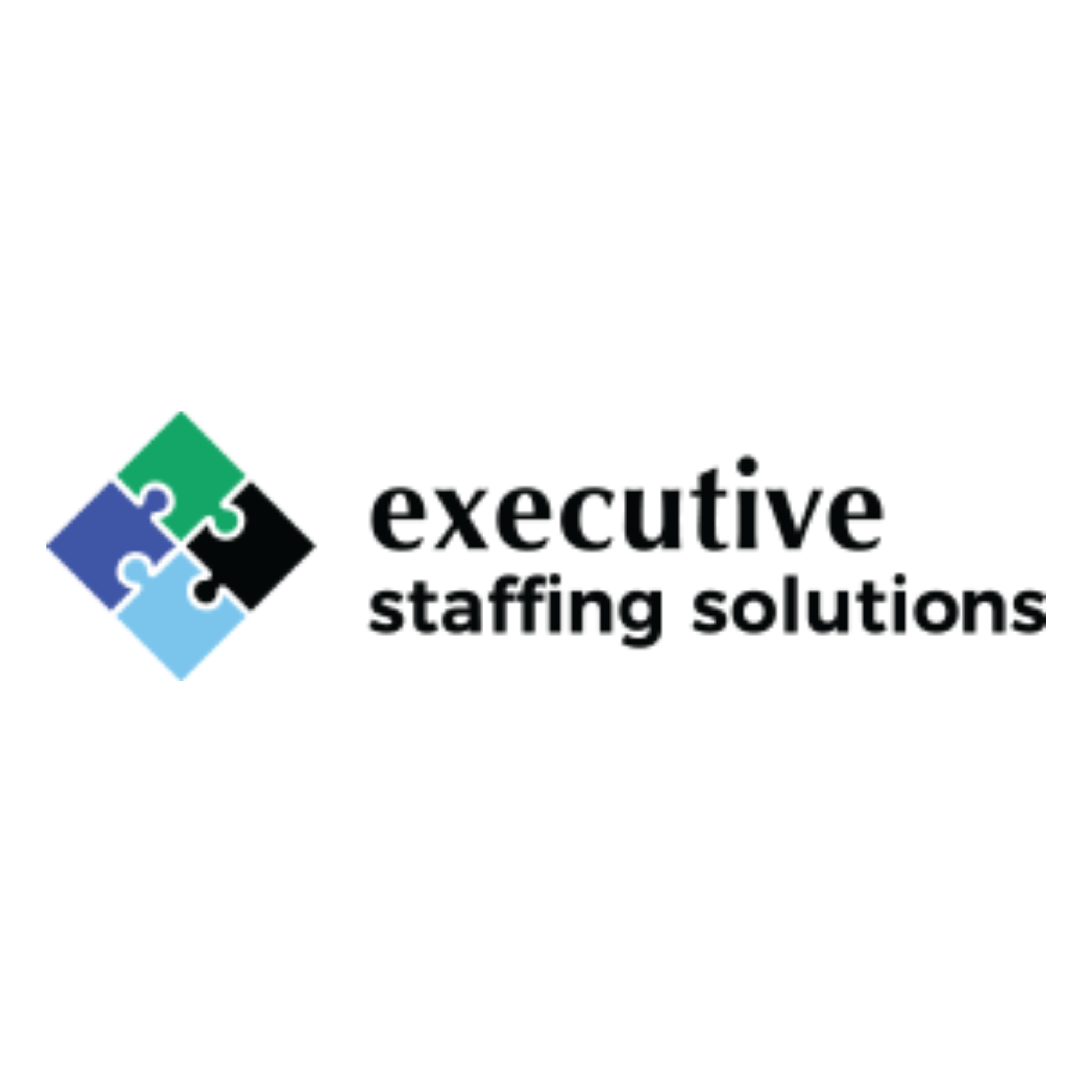 Executive Staffing Solutions