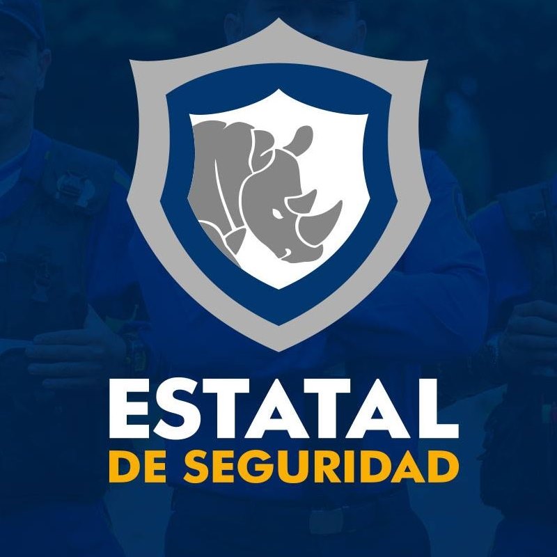 ESTATAL DE SEGURIDAD LTDA.