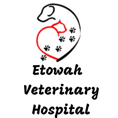 Etowah Veterinary Hospital