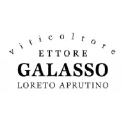 Ettore Galasso