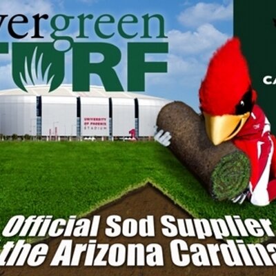 Evergreen Turf