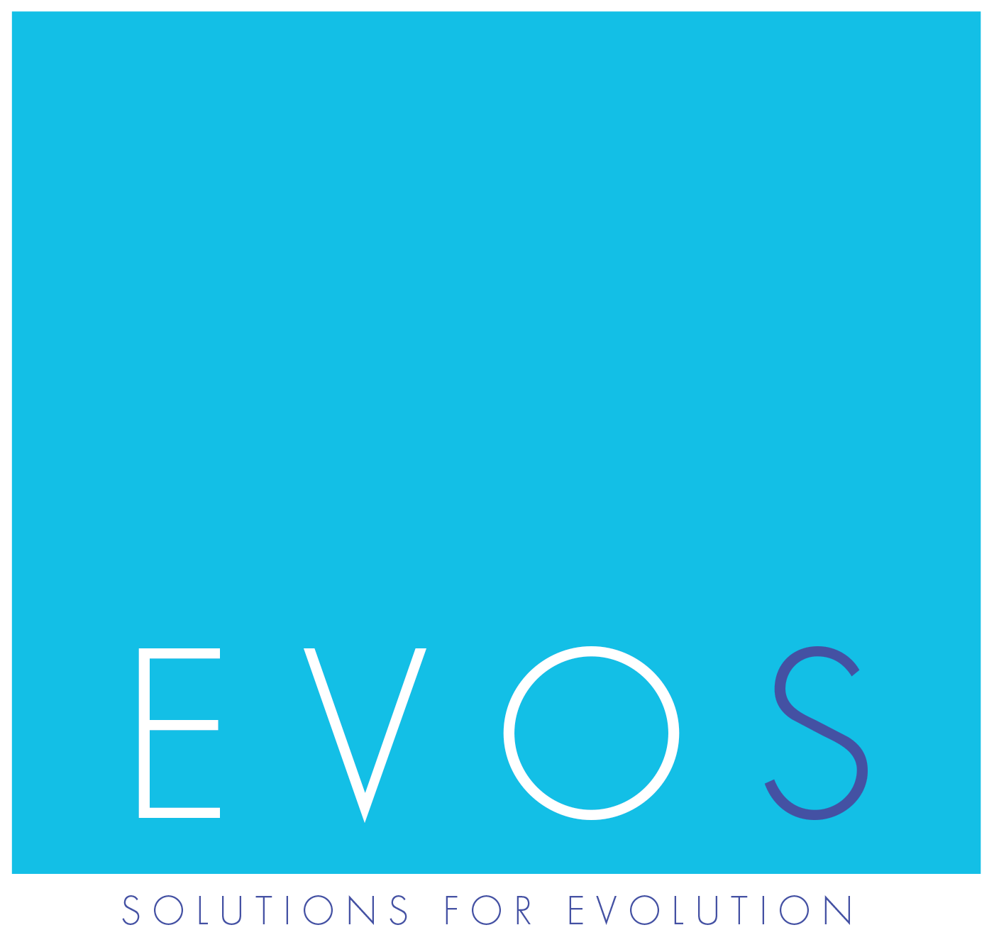 Evos Consulting Group (Ecg)