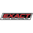 Exact Valve Solutions