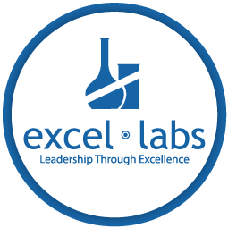 Excel Labs