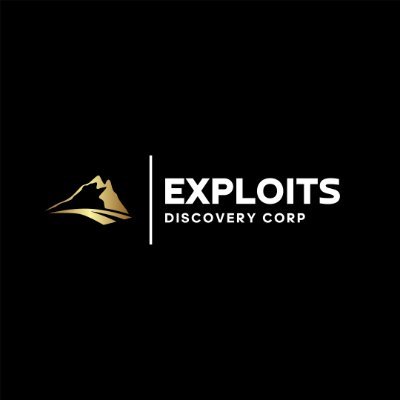 Exploits Discovery