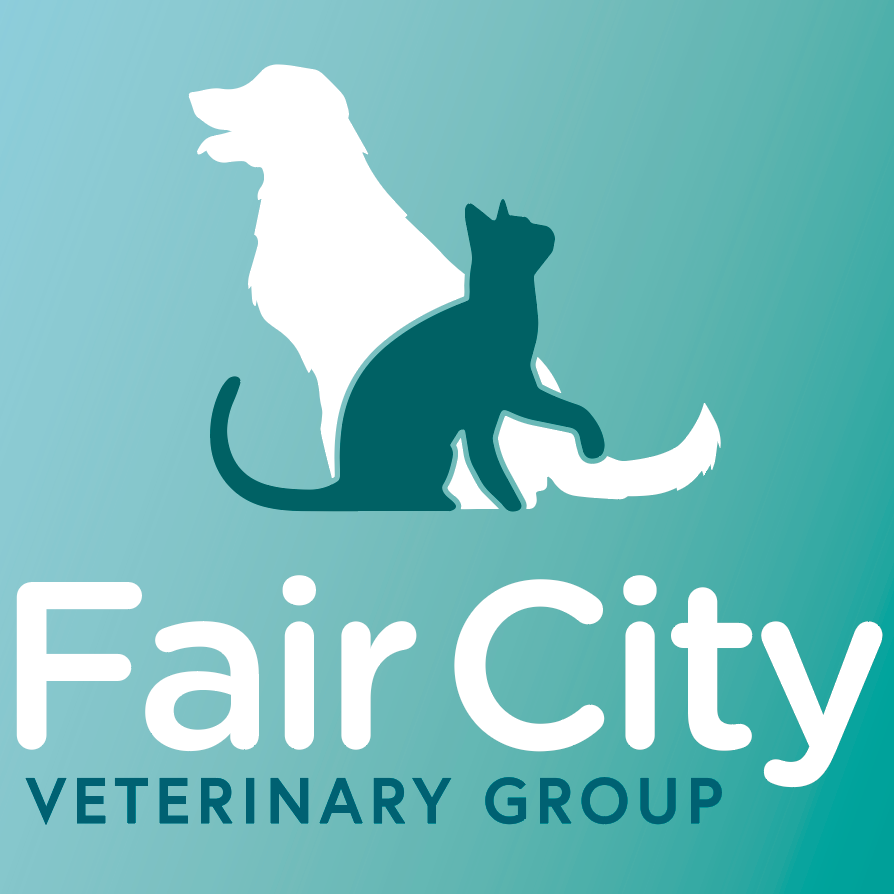 Fair City Vets